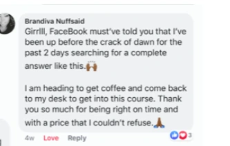 Facebook comment from Brandiva Nuffsaid: Girrlll, Facebook must've told you that I've been up before the crack of dawn for the past 2 days searching for a complete answer like this. I am heading to get coffee and come back to my desk to get into this course. Thank you so much for being right on time and with a price that I couldn't refuse.